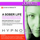A Sober Life 